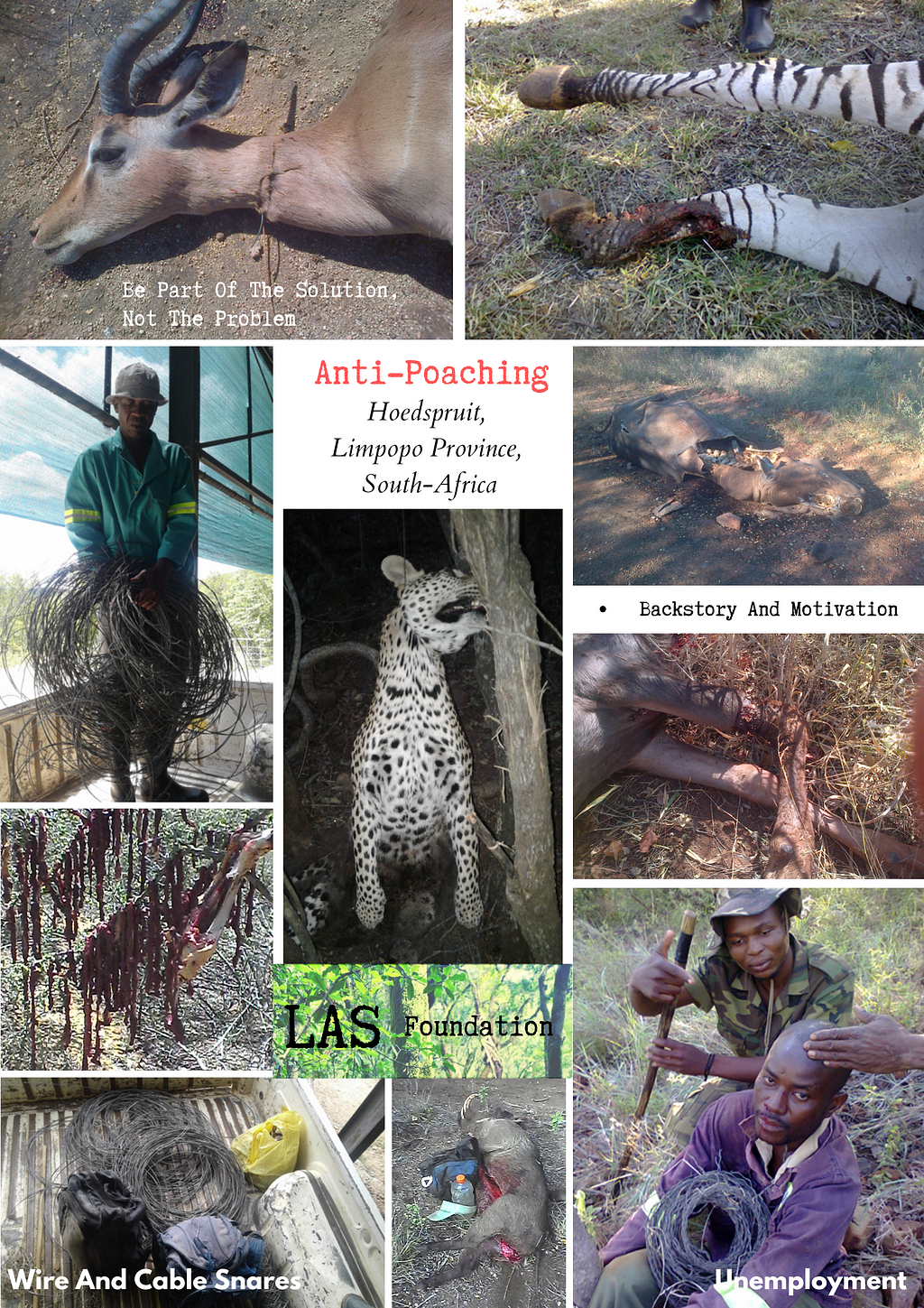 A collage compiled to showcase the effects of illegal poaching activities