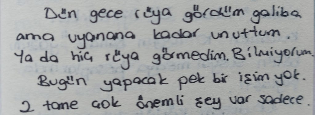 Dün gece rüya gördüm galiba ama uyuyana kadar unuttum ya da hiç rüya görmedim. Bilmiyorum. Bugün yapacak pek bir işim yok. 2 tane çok önemli şey var sadece.