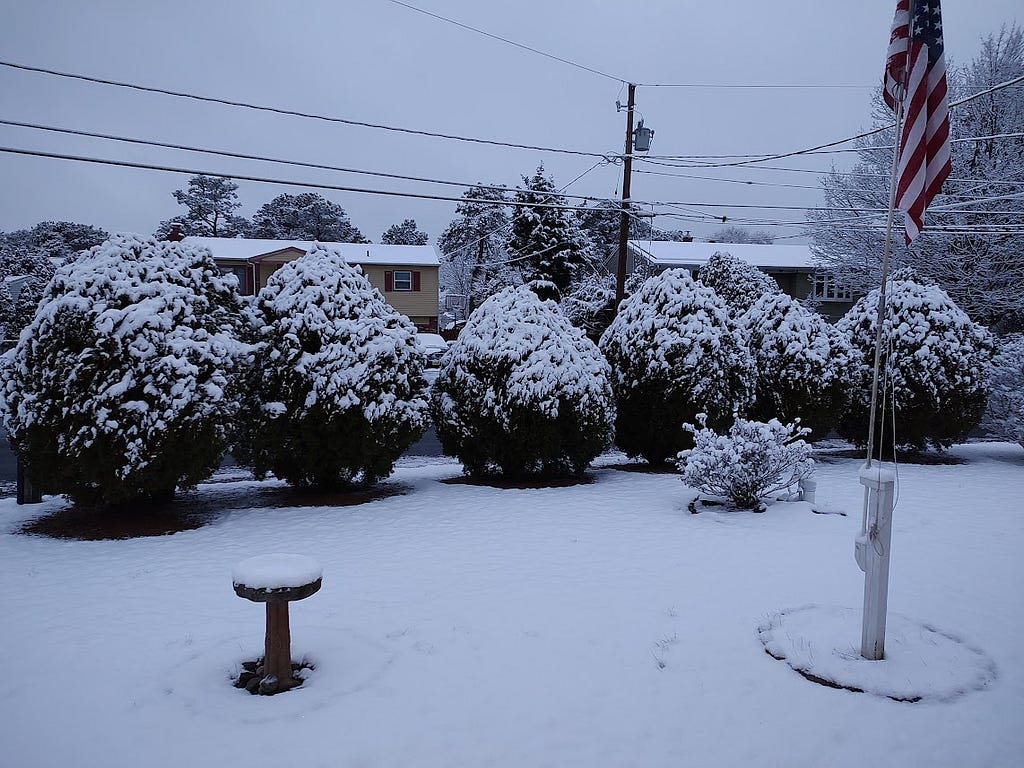 A picture of our front yard taken this morning with about an inch of snow or more on the ground