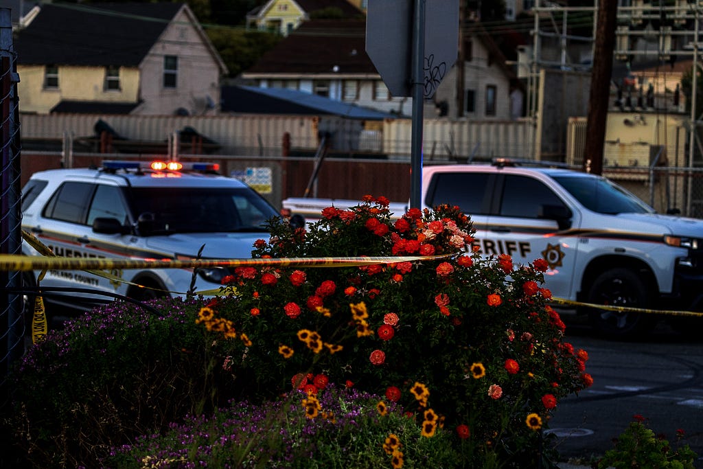 A rose bush is wrapped in crime scene tape at the scene of a law enforcement shooting at dusk. Two Solano County Sheriff’s Office vehicles can be seen in the background.