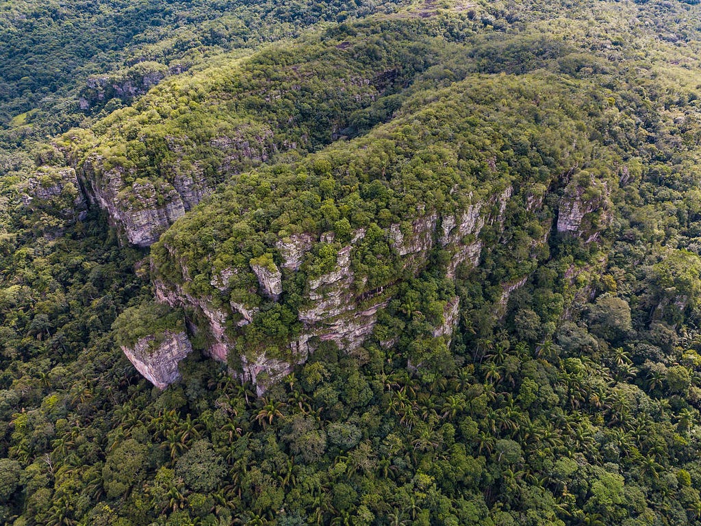 Aerial view of the northernmost edge of the Colombian Amazon. © Luis Barreto / WWF-UK