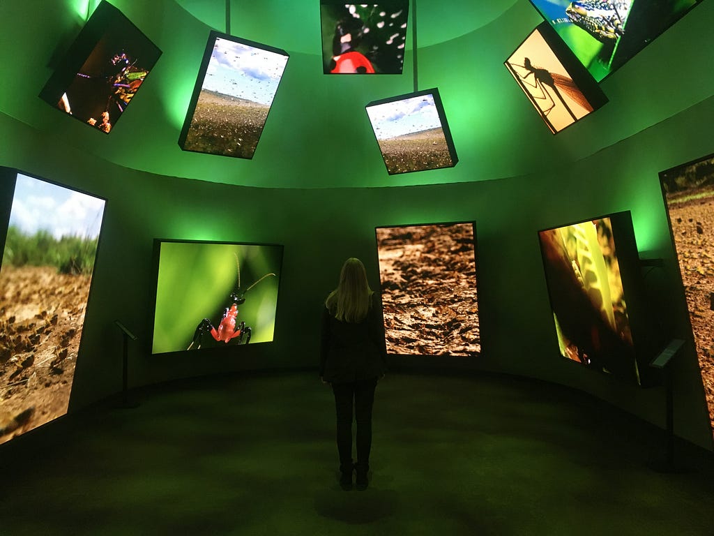 A lone figure stands facing the green, curved wall of a room that is mounted with TV screens of different shapes and sizes showing various reels of natural history footage