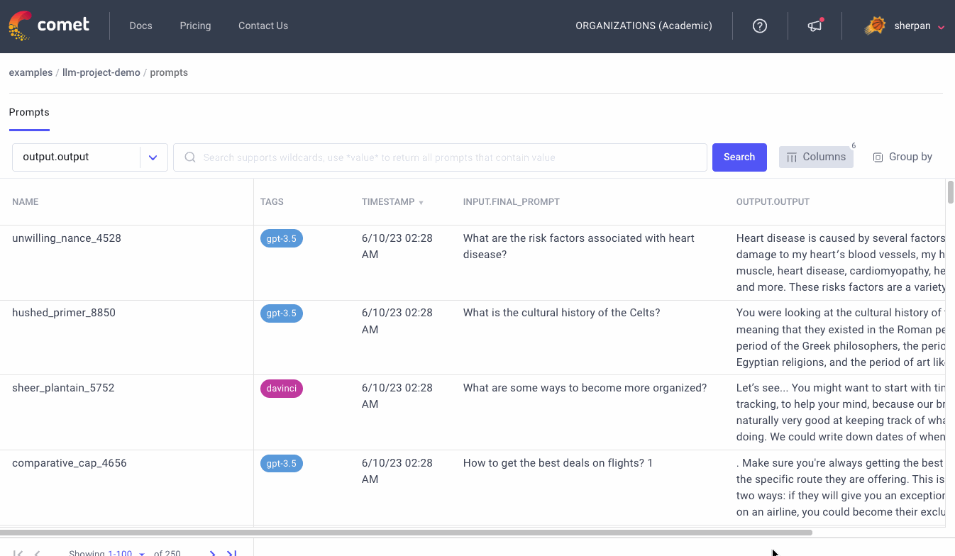 Organizing and filtering prompts in the Comet_LLM user interface. Also, search for keywords in prompts.