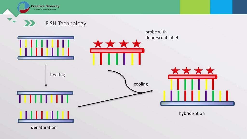 https://www.denovotec.com/manual-assays.html