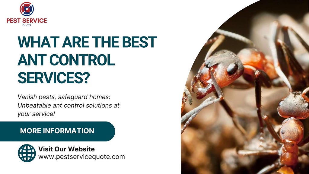 best ant control services