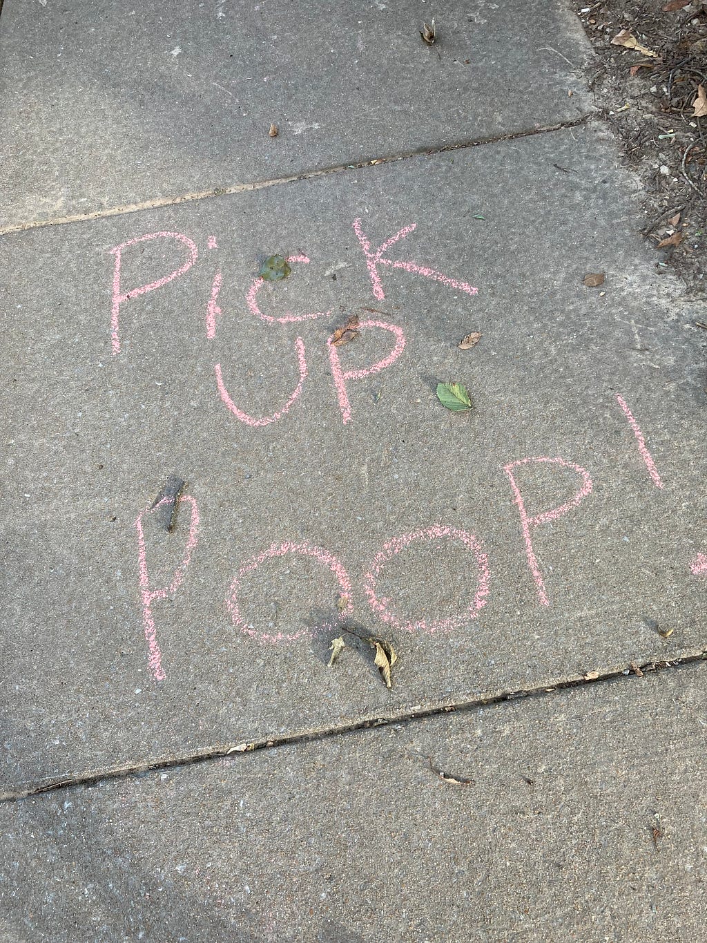 The message “Pick Up Poop!” printed in pink chalk on a sidewalk.