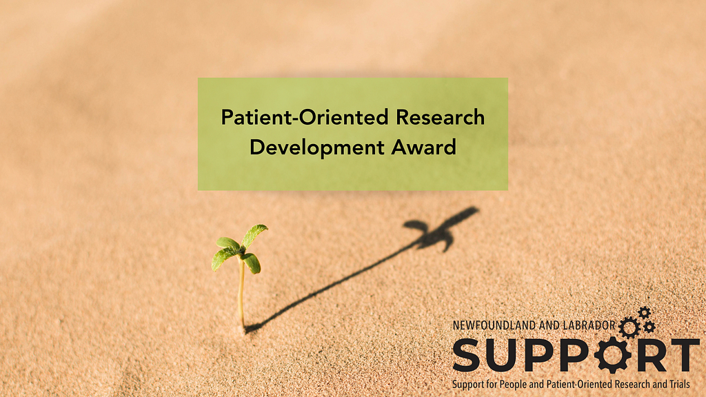Image of a small plant sprouting from the earth. Text reads: Patient-oriented Research Development Award. NL SUPPORT logo.