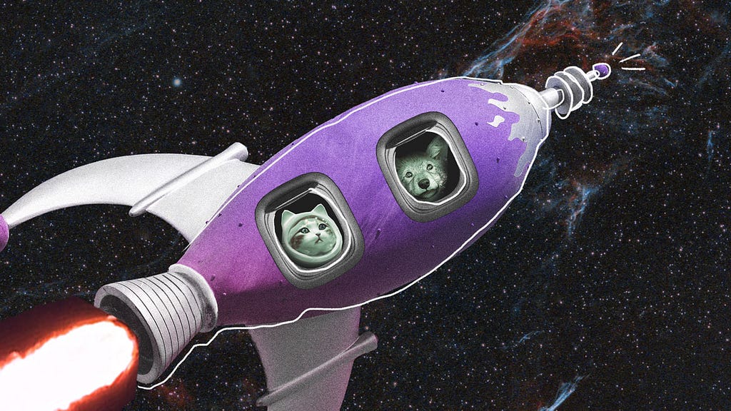 A wolf and a cat in a space helmet blast into outer space on a purple, retro-style rocket.