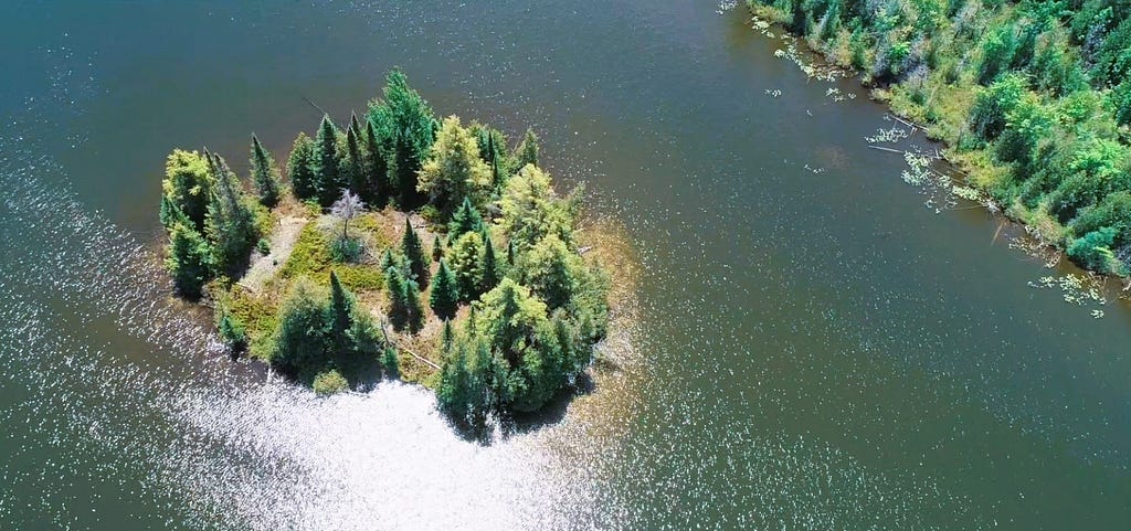 Curleys Lake island surrounded by trees in Markdale, Ontario