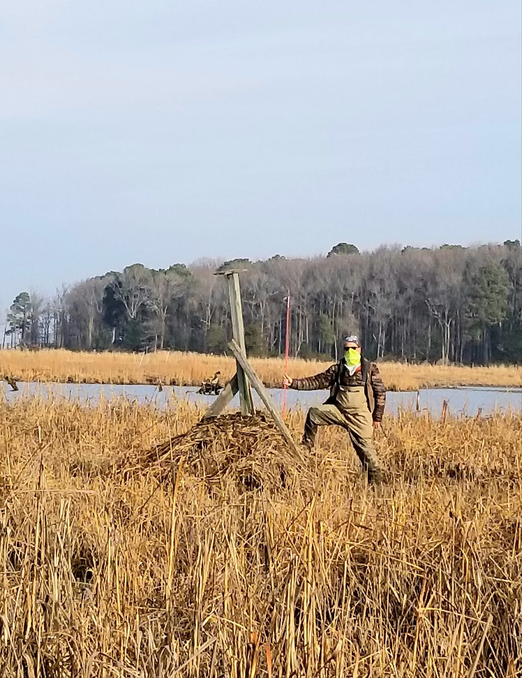 A man stands in a salt marsh filled with brown grasses, In the background are water, more grasses, then trees and sky. He has his foot on a mound of grasses with a wooden structure on top and is holding a bright pink stick.