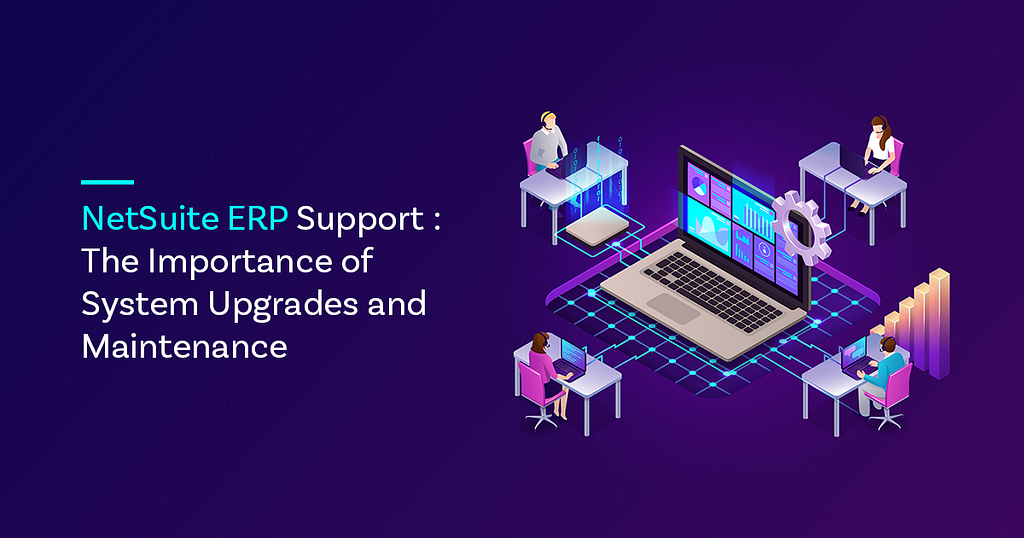 NetSuite ERP Support
