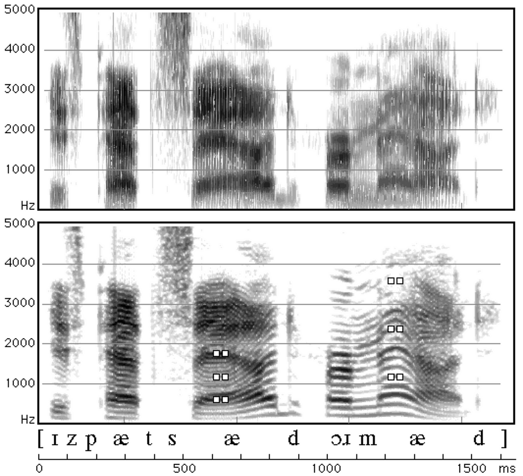 A comparison of wide and narrow spectrograms showing that formant information is more prominent in wide spectrograms.