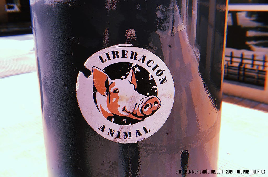 Sticker colado em um poste com o desenho de um porco e o texto “Liberación Animal” em volta.