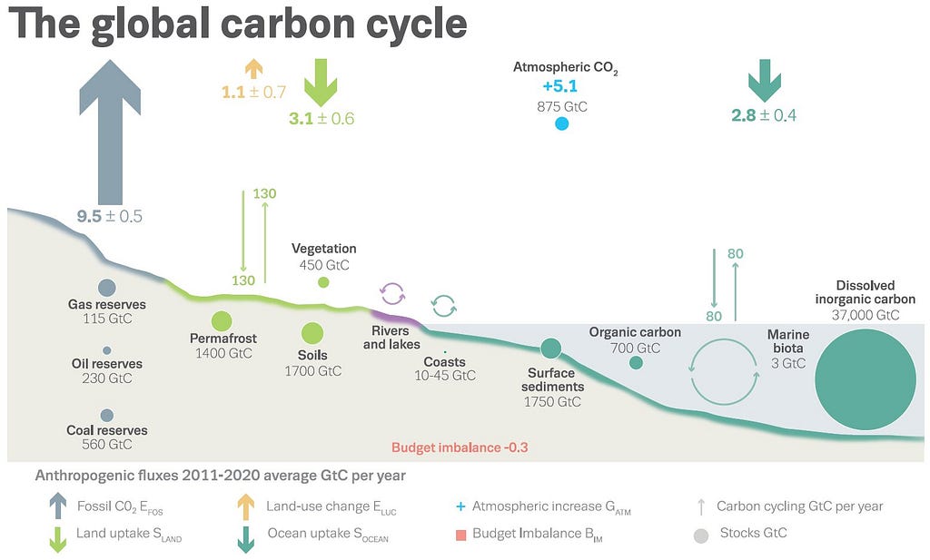 Imaginea reprezintă complexul circuit al carbonului în natură, inclusiv cantitățile pentru anul 2021.