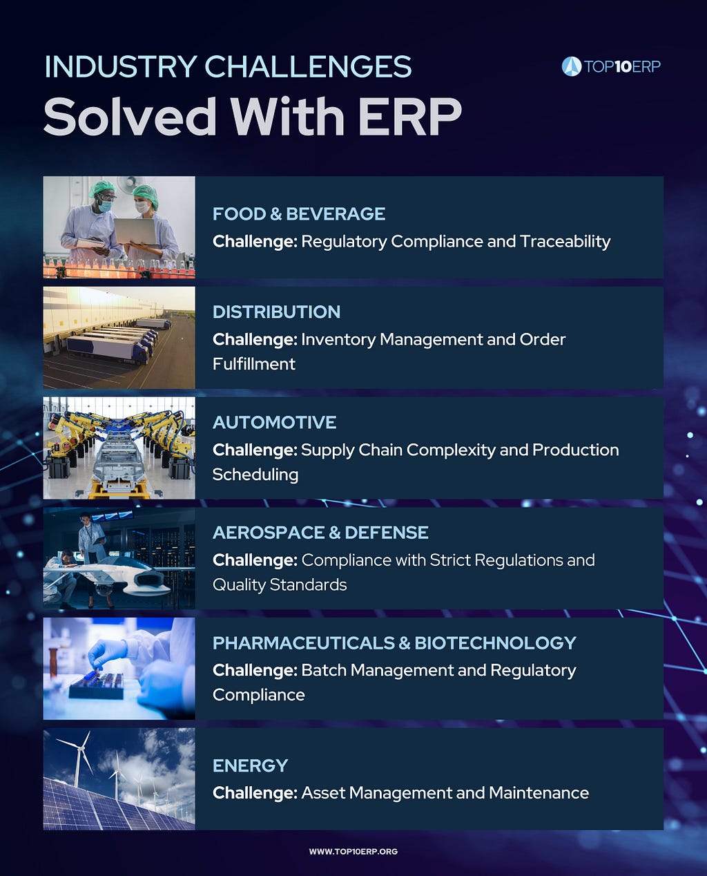 ERP Industry Challenges Solved