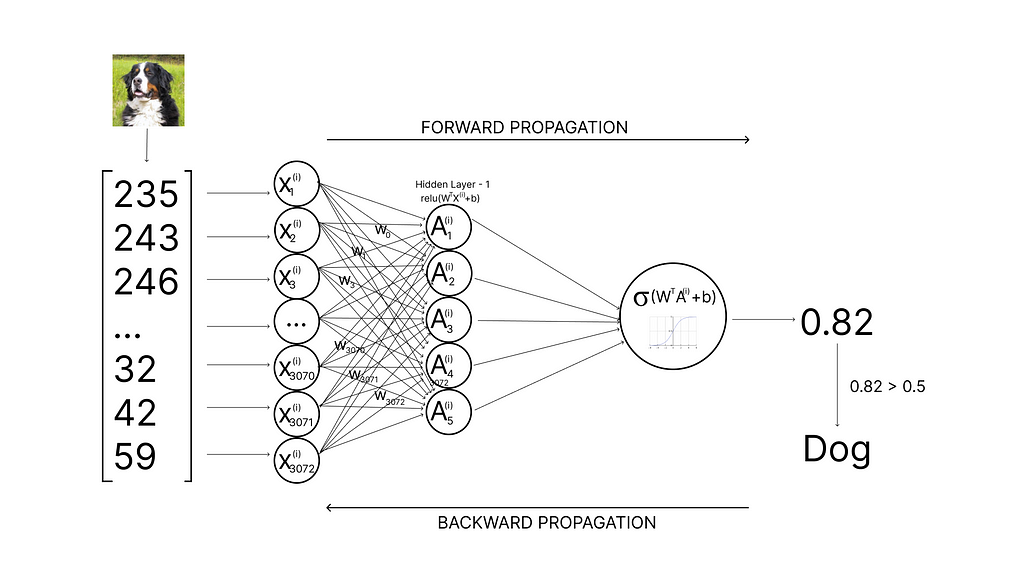 Building Neural Network From Scratch In Python | LaptrinhX