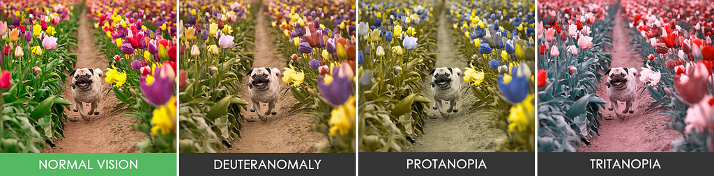 Four sample images of a dog running toward the camera between rows of tulips. Each panel represents a different type of color blindness.