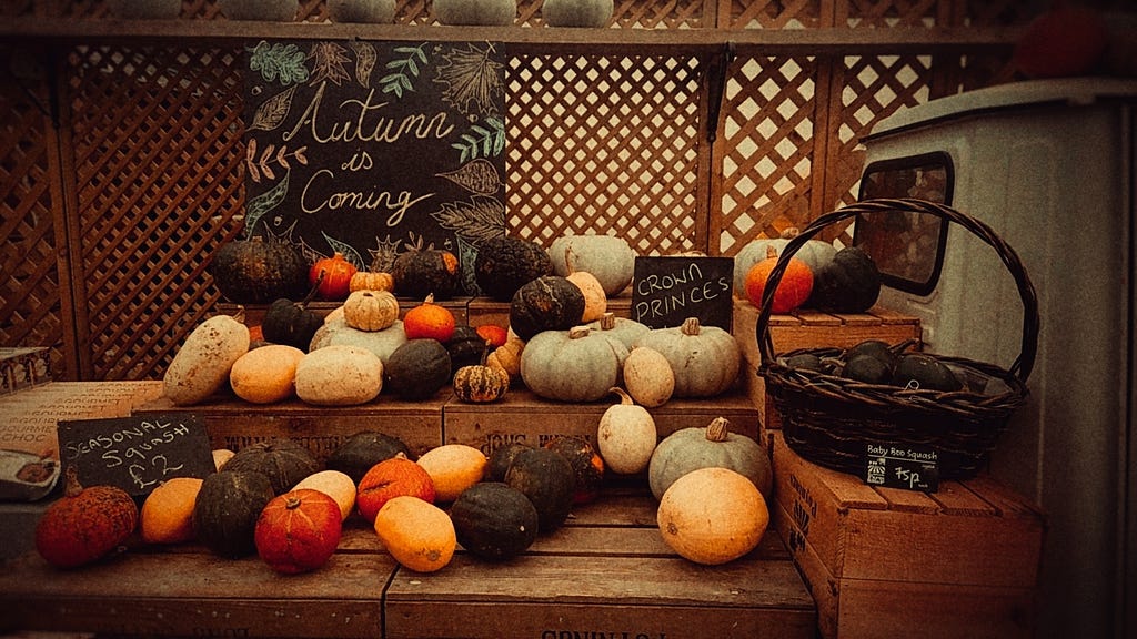 colourful pumpkins and winter squash on a display