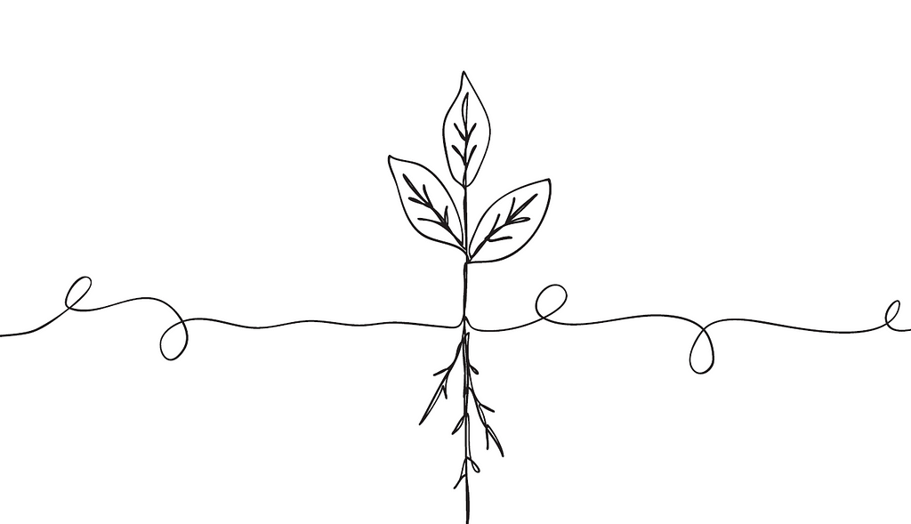 Simple line illustration of a plant with three leaves growing out of the ground and roots below.
