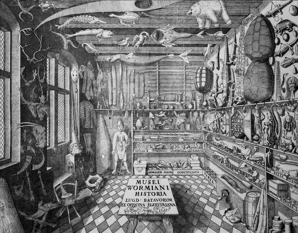 Historical depiction of Ole Worm’s cabinet of curiosities