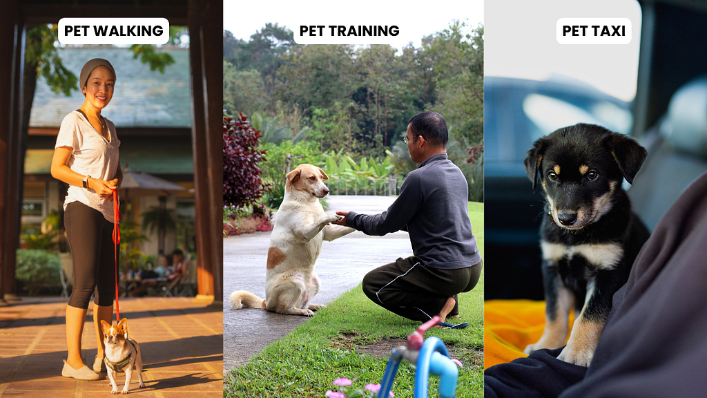 Image showing three opportunities for pet freelancers: “Pet Walking,” “Pet Training,” and “Pet Taxi.” The left section features a woman smiling while walking a small dog on a leash outside a house. The middle section shows a man training a Labrador Retriever by teaching it to shake hands in a lush, green outdoor setting. The right section depicts a puppy sitting in the back seat of a car, representing a pet taxi service.