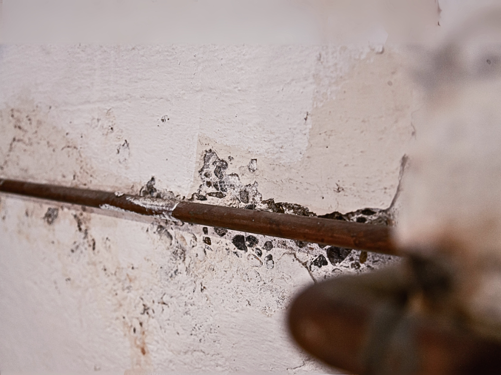 Water Damage Cover Image of cracked and chipped wall and mold growth