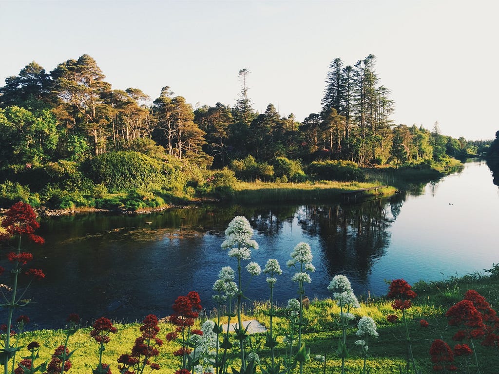 A quiet lake, surrounded by trees and wildflowers, in Ireland.
