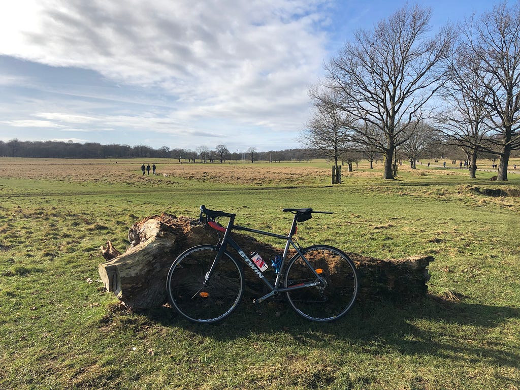 Image of a bicycle propped up against a large log in the middle of a open green space with a blue sky and some trees.
