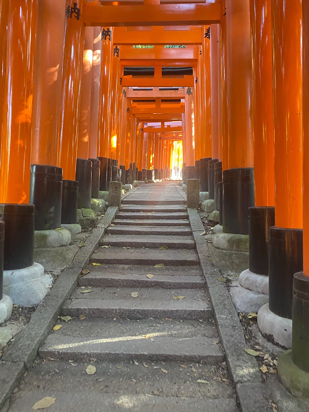 There are many shrine’s gate, Torii.