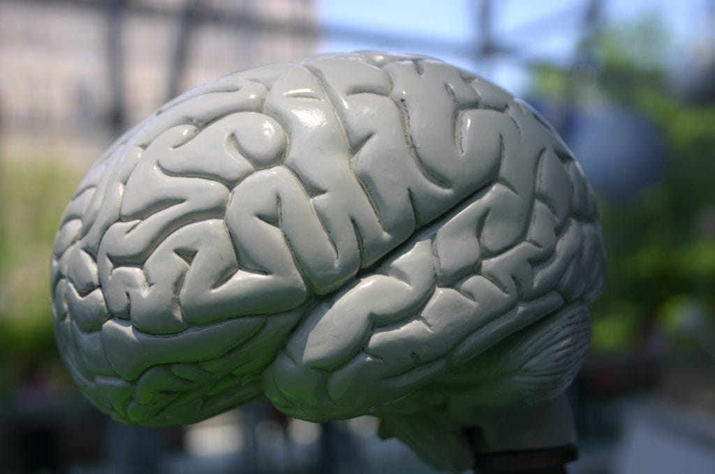 Фигура изображающая человеческий мозг