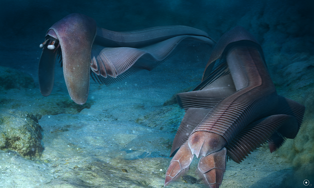 Artist depiction of two Balhuticaris swimming together above the ocean floor.