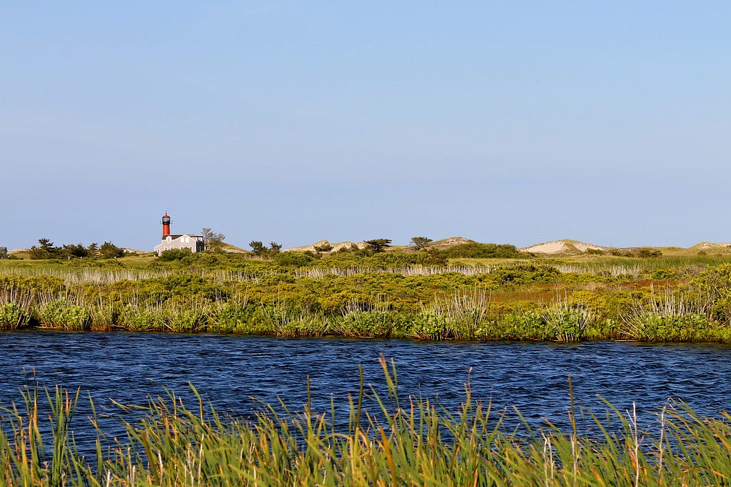 Vibrant blue waters running through a green marsh area. Alighthouse can be seen far in the distance.