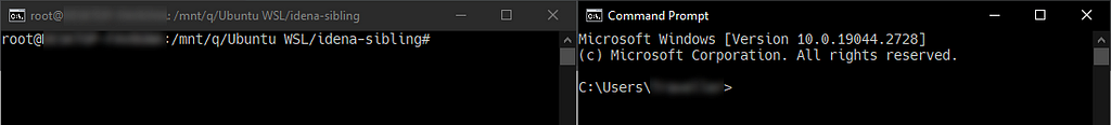 The difference between the console output in the WSL and the standard Windows command prompt.