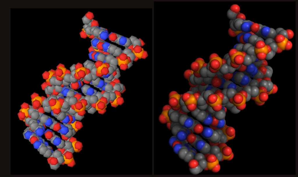 An image showing an old OpenGL ES 1.0 rendered molecule on the left and a much more realistic OpenGL ES 2.0 rendered molecule on the right.
