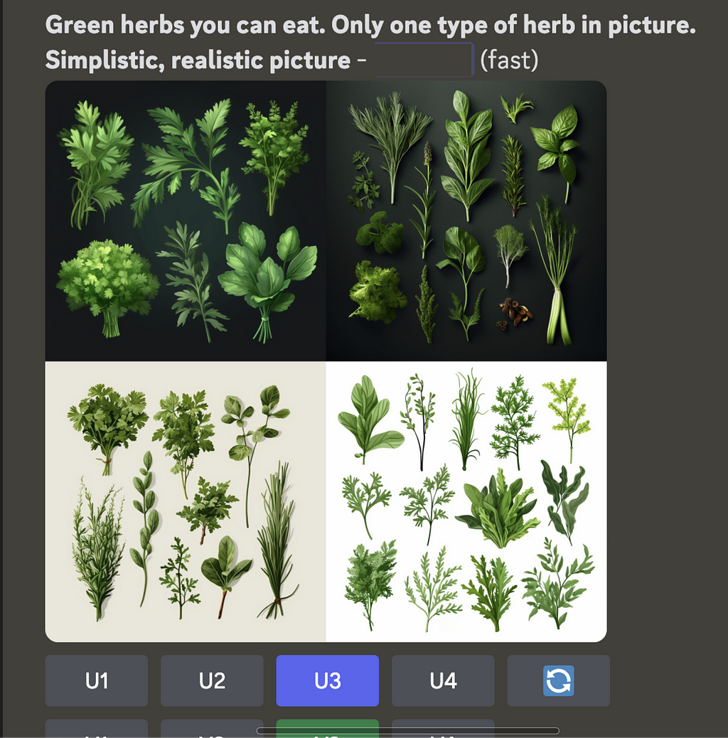 Midjourney screenshot, with 4 generated images of herbs on plain backgrounds.