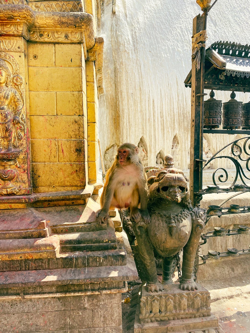 A holy monkey of Swayambhunath Stupa- Photo by Author