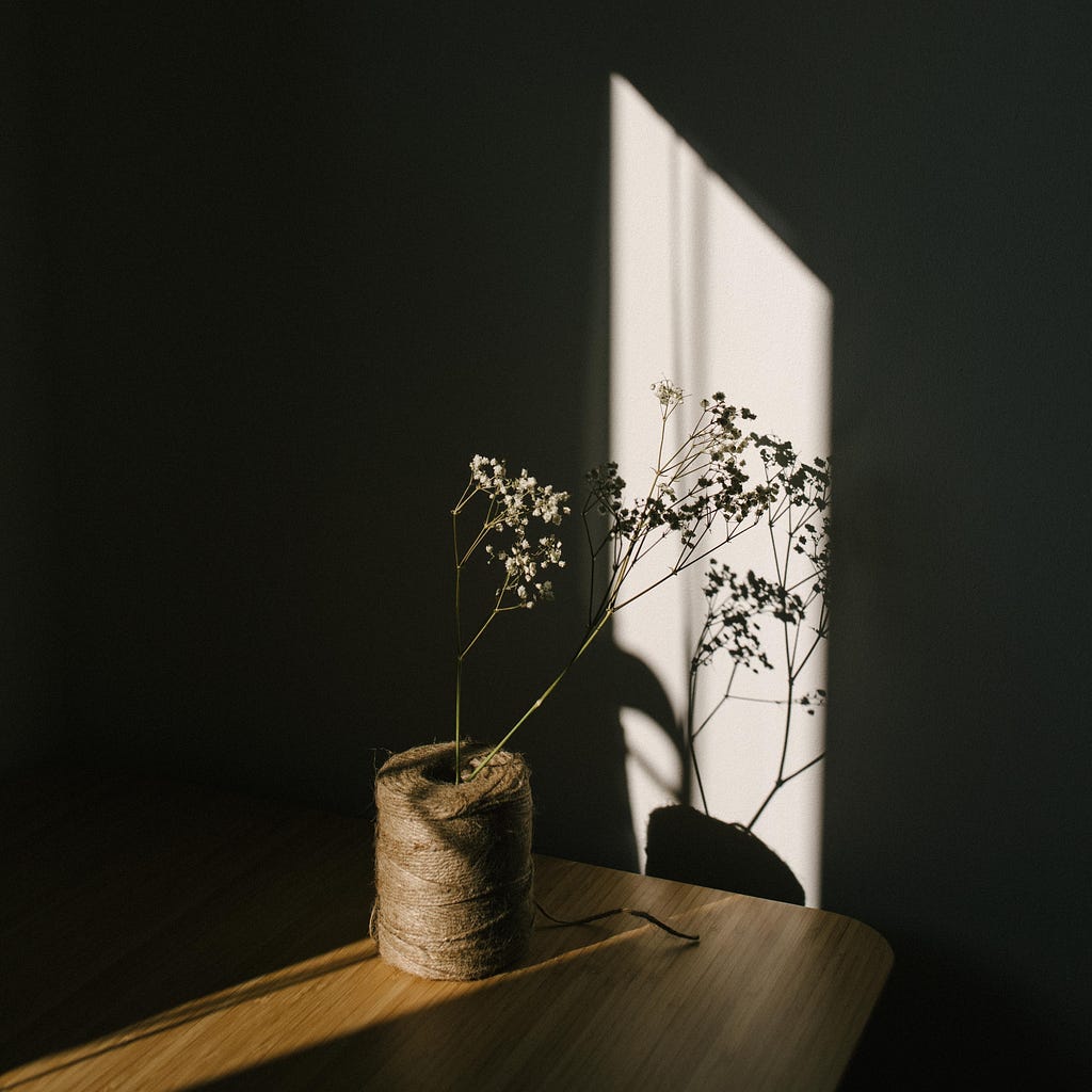 baby’s breath flowers displayed against a shadow of a window; the flowers are in a large spool of twine instead of a traditional vase