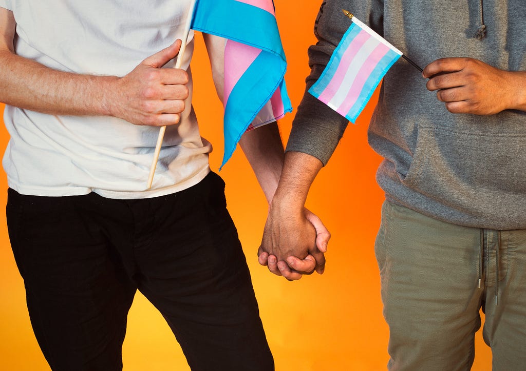 Two people hold hands. Each is also holding a Trans Pride flag.