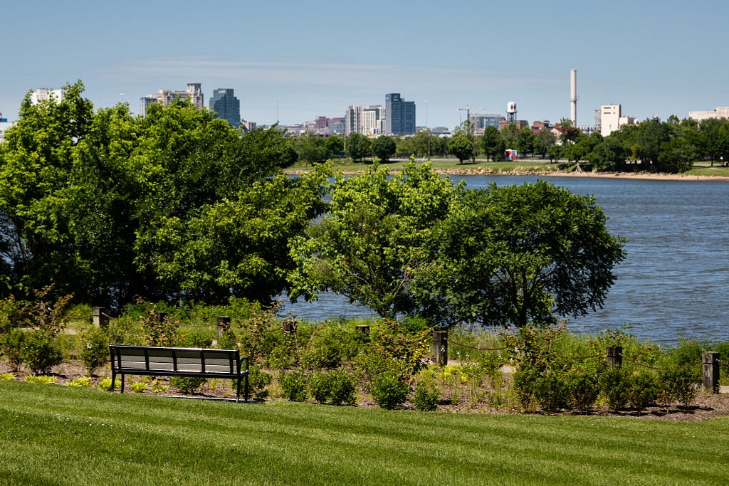 An open garden space along the river with the skyline of Baltimore in the background.