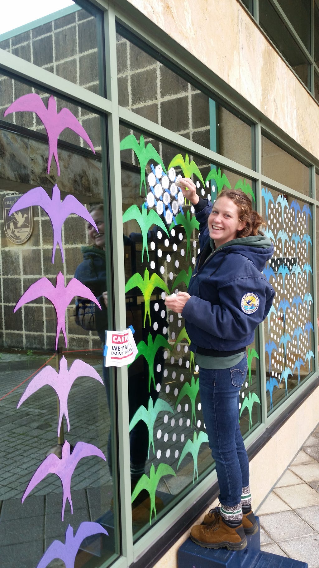A staffer at Patuxent Research Refuge wearing blue jeans and a blue jacket with a U.S. Fish and Wildlife logo on the shoulder paints colorful designs on a large window in a row of windows. Among the window designs are bird-in-flight silhouettes in purple, green and blue.