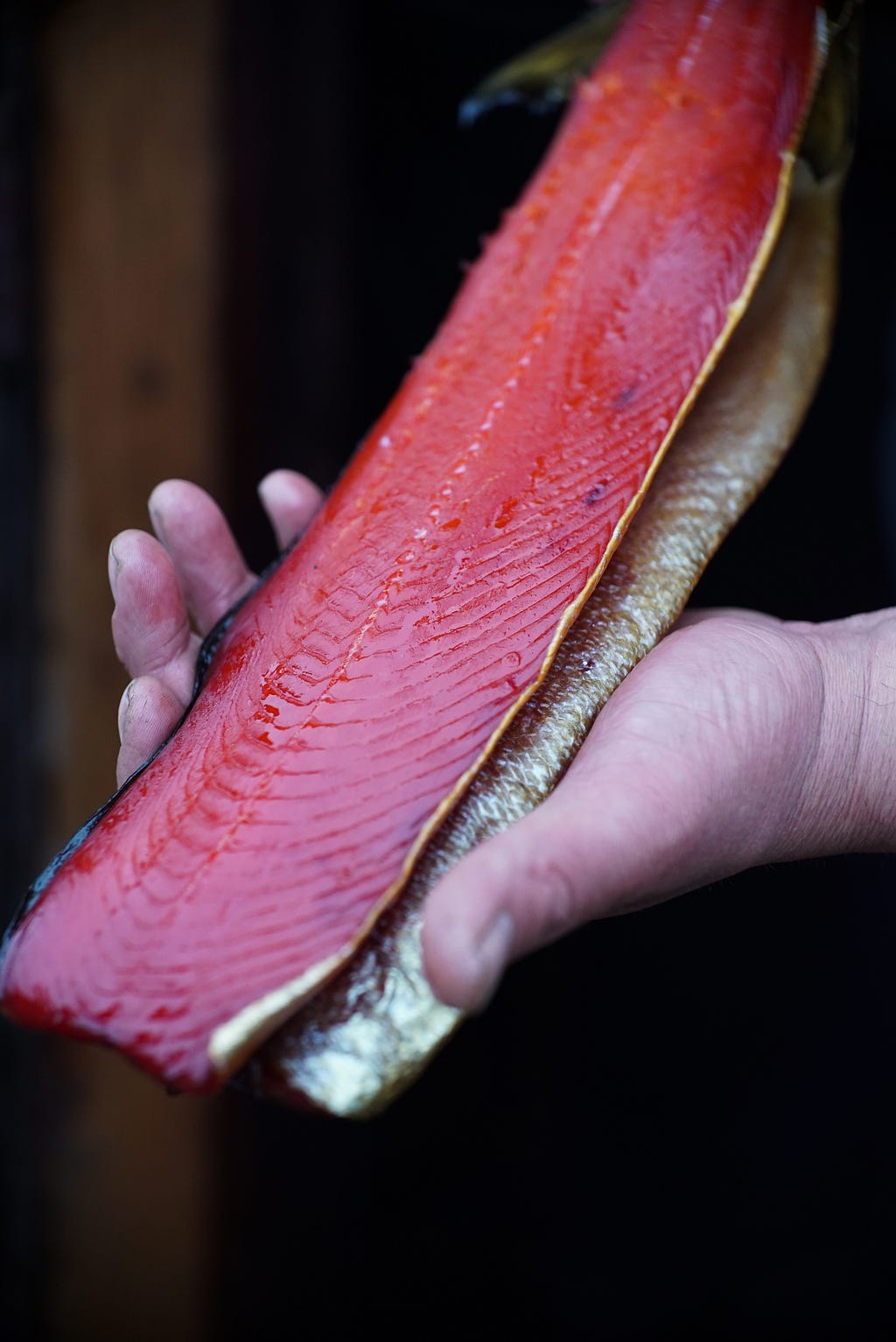 smoked red fillet of salmon in a man’s hand