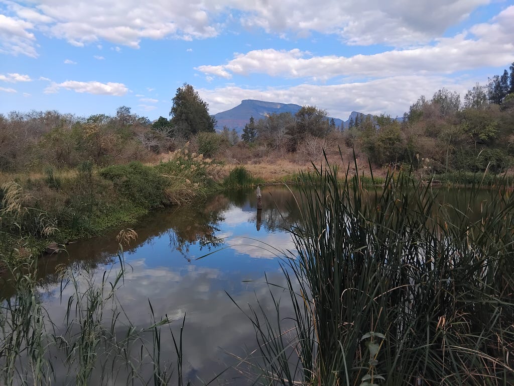 A farm dam with a reflection of a cloudy sky and a mountain in the background