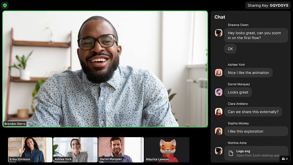 Zoom video conferencing tool