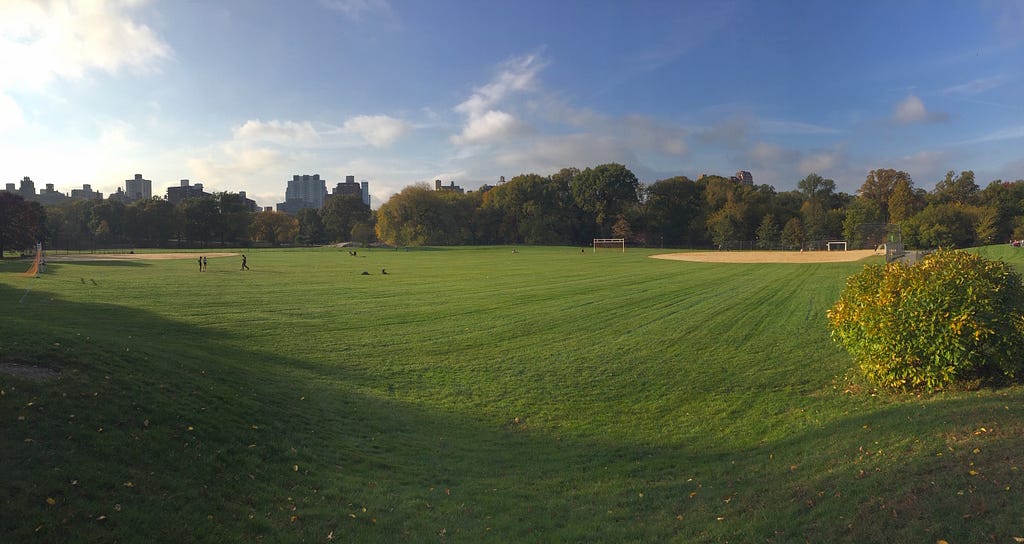 View of the North Meadow, Central Park, NYC.