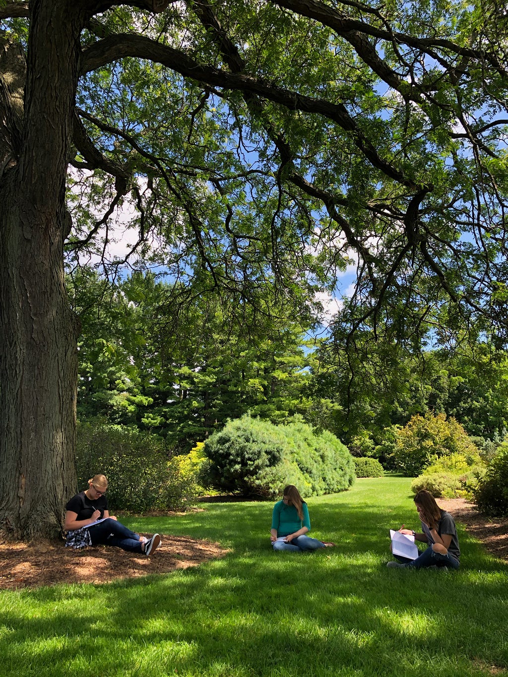 Three campers sitting beneath a large tree, writing in their notebooks.