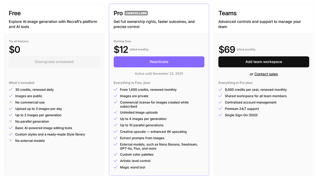 Recraft pricing page. Image by Jim Clyde Monge