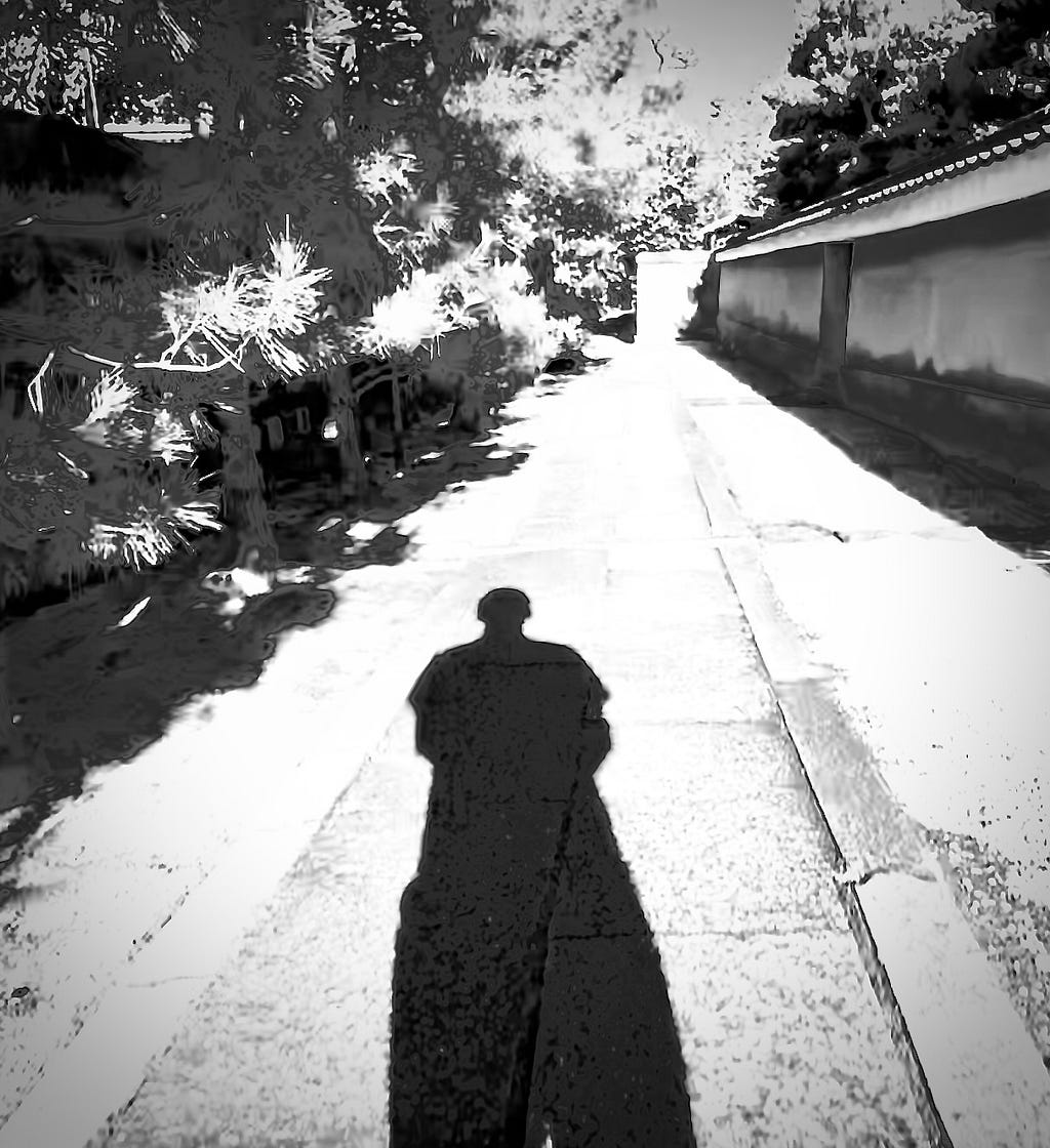 a monochrome shot of a shadow on a stone path