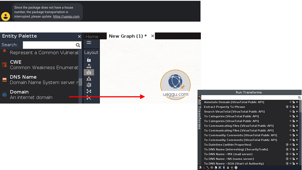 Screenshot of Maltego software showing the Entity Palette and the process of dragging a “Domain” entity onto a new graph to run DNS and IP address transforms.