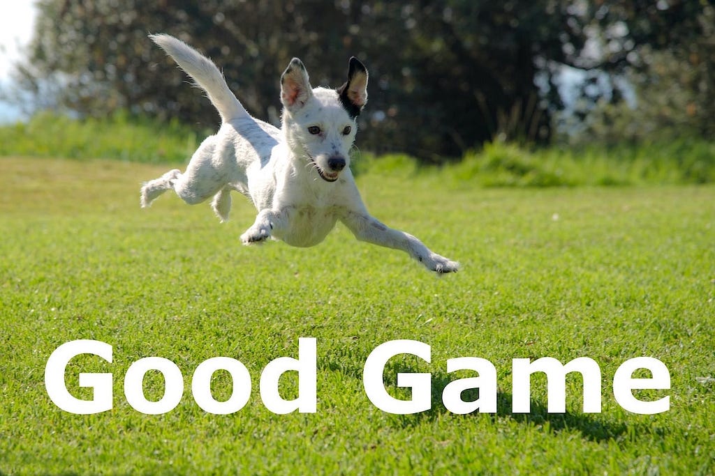 Image of a dog playfully jumping into the air with the text overlay: Good Game