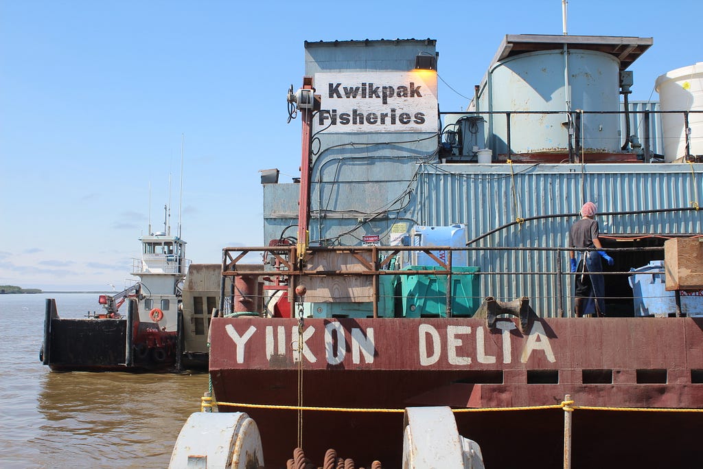 fish processing center on a big river